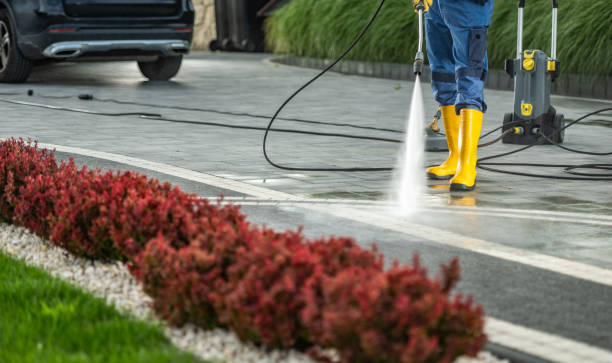Best Roof Pressure Washing  in Kotlik, AK